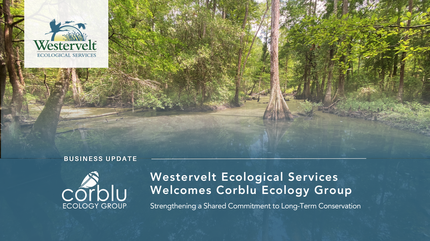 Business update: Westervelt Ecological Services welcomes Corblu Ecology Group